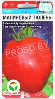 Томат Малиновый тюлень