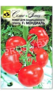 Томат Мондиаль F1