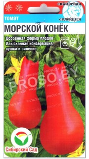 Томат Морской конек
