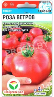 Томат Роза ветров