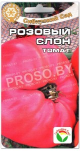 Томат Розовый слон