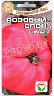 Томат Розовый слон