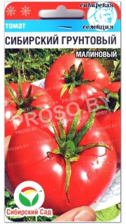 Томат Сибирский грунтовой малиновый