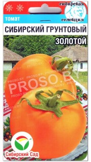 Томат Сибирский грунтовой золотой