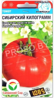Томат Сибирский килограмм