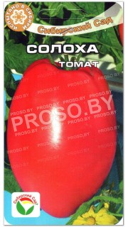 Томат Солоха