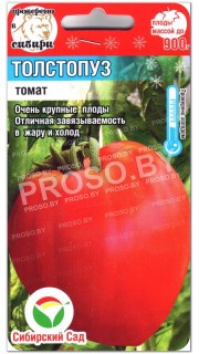 Томат Толстопуз