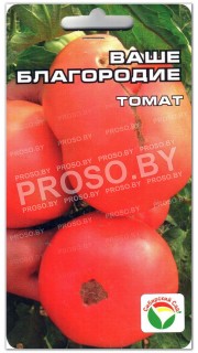 Томат Ваше Благородие