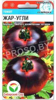 Томат Жар-угли (жаркие угли)