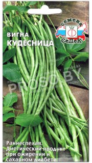 Вигна Кудесница