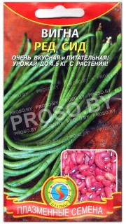 Вигна Ред сид
