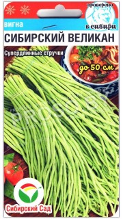 Вигна Сибирский великан
