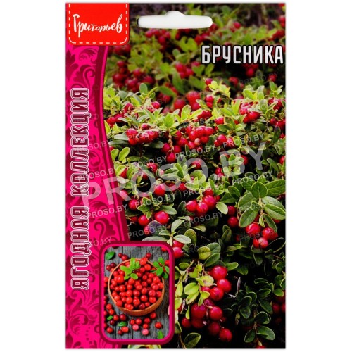 Брусника