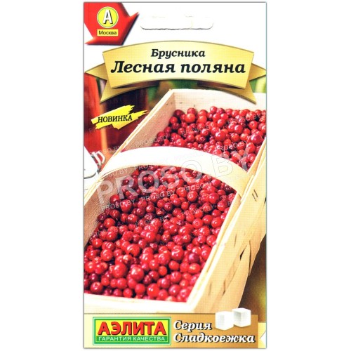 Брусника Лесная поляна