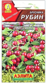 Брусника Рубин
