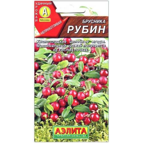 Брусника Рубин