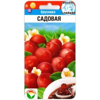 Брусника Садовая