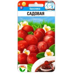 Брусника Садовая