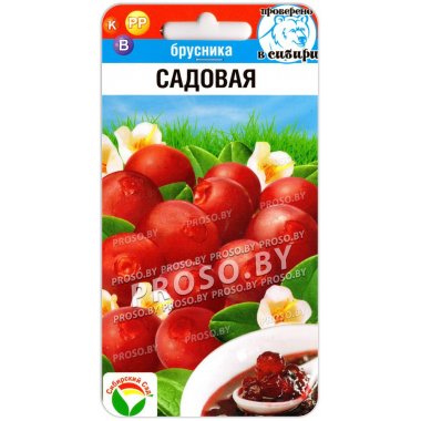 Брусника Садовая