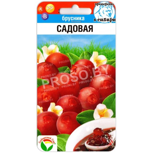 Брусника Садовая