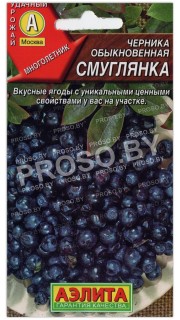 Черника обыкновенная Смуглянка
