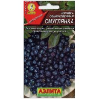 Черника обыкновенная Смуглянка