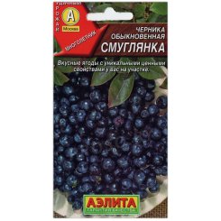 Черника обыкновенная Смуглянка
