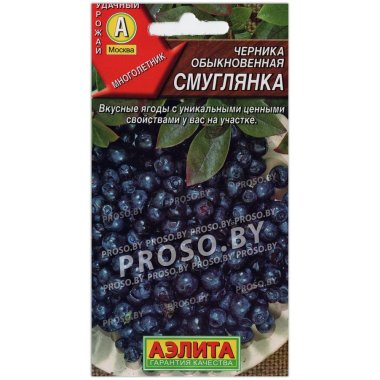 Черника обыкновенная Смуглянка