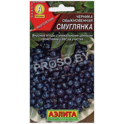 Черника обыкновенная Смуглянка