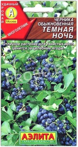 Черника обыкновенная Темная ночь