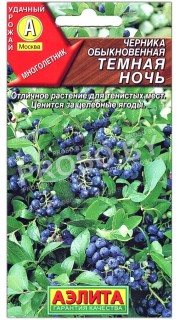 Черника обыкновенная Темная ночь