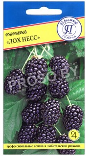 Ежевика Лох Несс