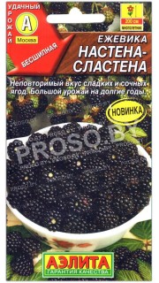 Ежевика Настена-сластена