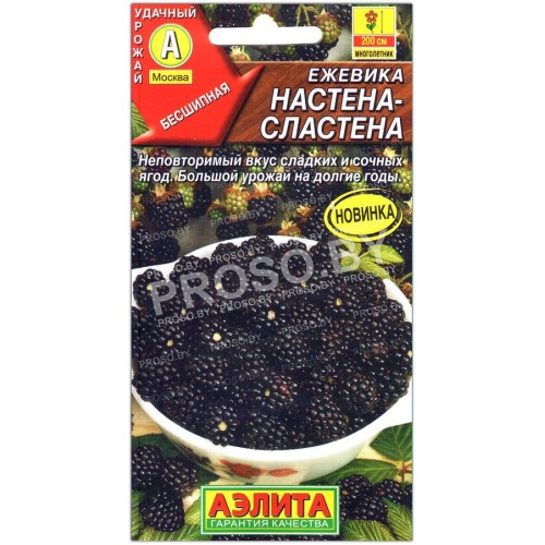 Ежевика Настена-сластена