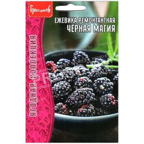 Ежевика ремонтантная Черная магия