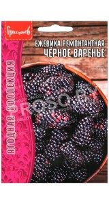 Ежевика ремонтантная Черное варенье