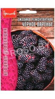 Ежевика ремонтантная Черное варенье