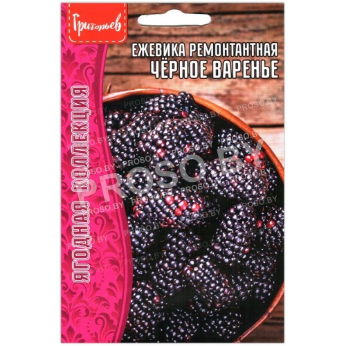 Ежевика ремонтантная Черное варенье