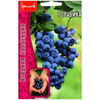 Голубика