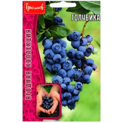 Голубика