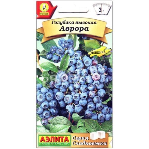 Голубика высокая Аврора
