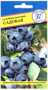 Голубика высокая Садовая
