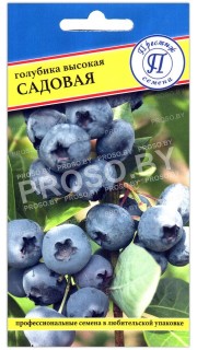 Голубика высокая Садовая