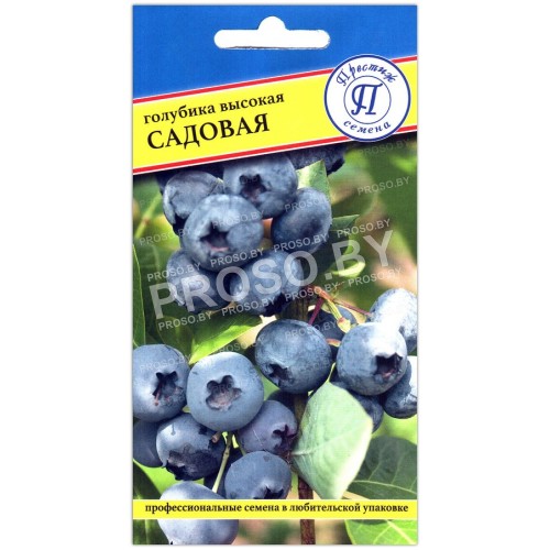 Голубика высокая Садовая