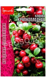 Клюква Крупноплодная