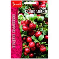 Клюква Крупноплодная