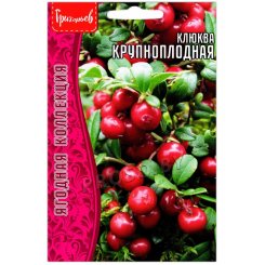 Клюква Крупноплодная