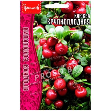 Клюква Крупноплодная