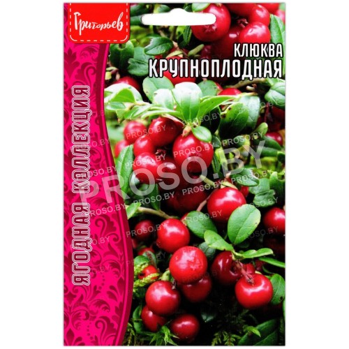 Клюква Крупноплодная