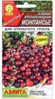 Клюква крупноплодная Монпансье